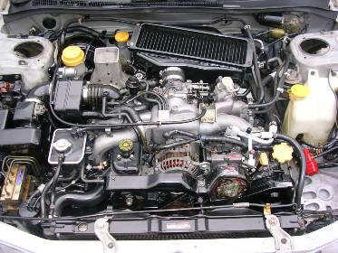 DSCN8323.JPG