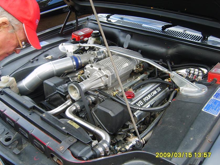 S8002340 (Custom).jpg