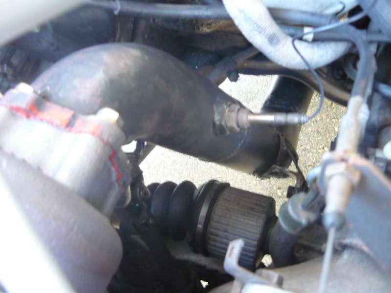 aaa 011-800.jpg
