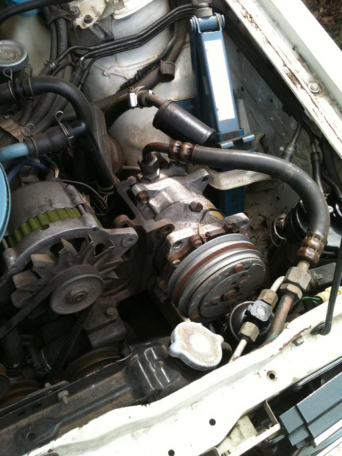 MV - BRUMBY PICS 001.jpg