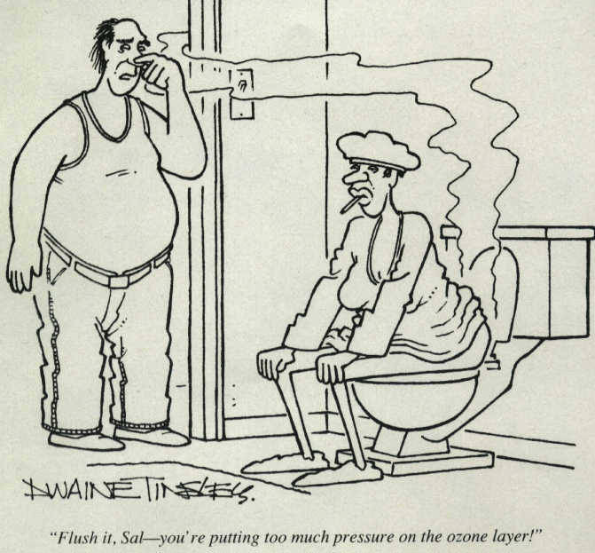 flush-the-toilet.jpg