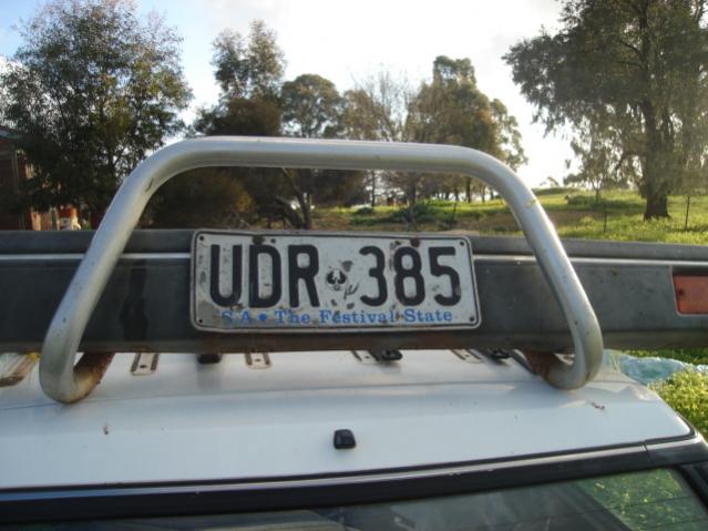 DSC02324.jpg