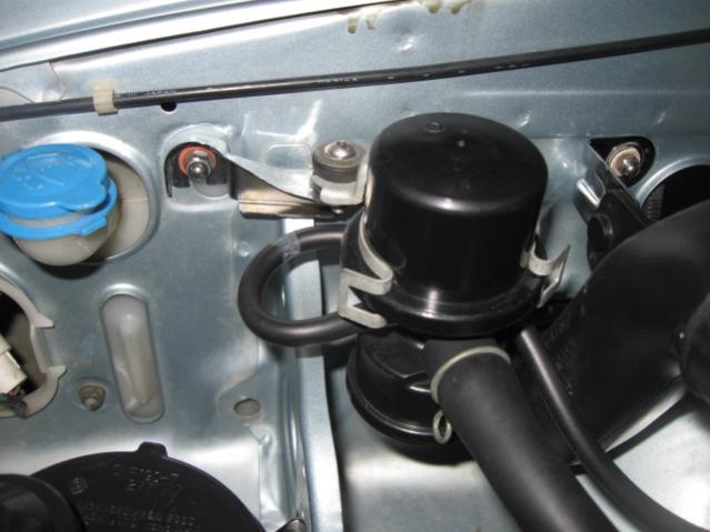 AntiABvalve1.jpg