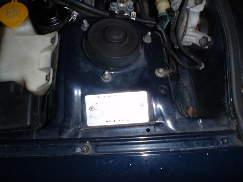 PB2504176.jpg