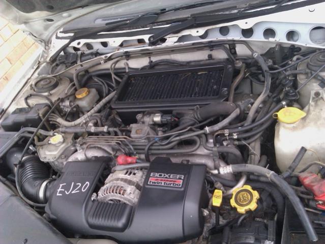 IMAG0048.jpg
