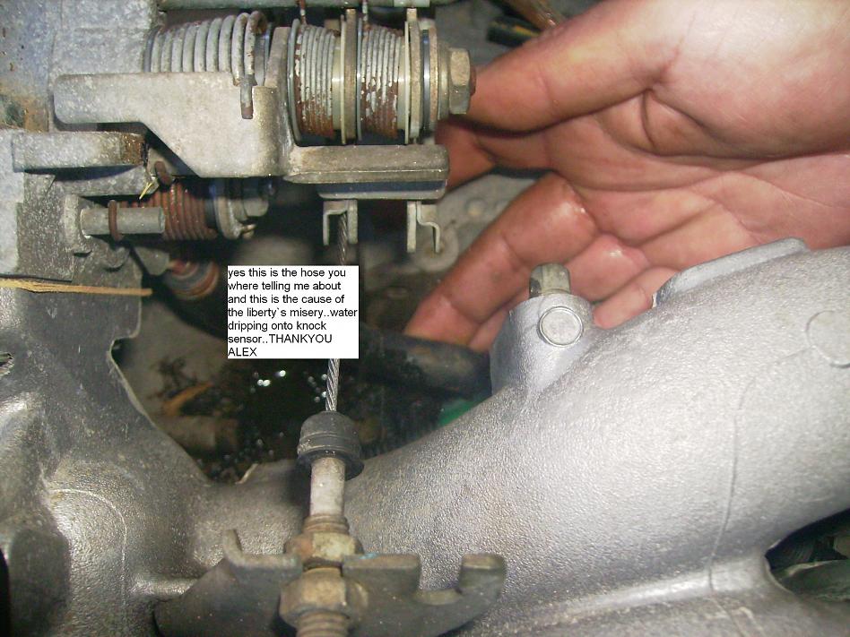 hose.jpg