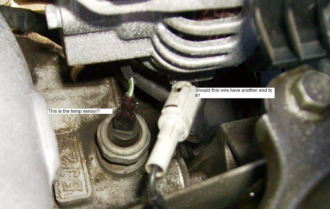 temp sensor.jpg