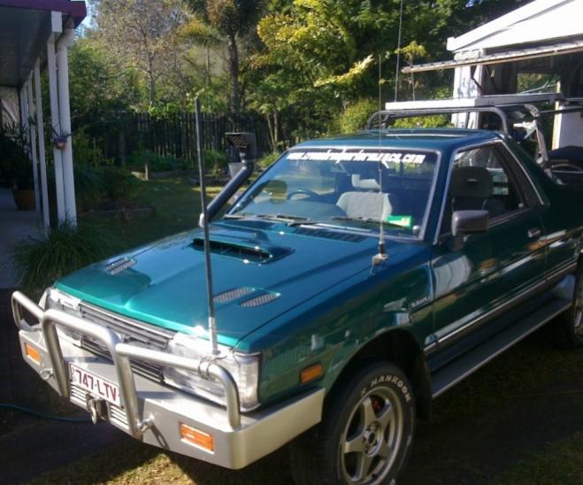 brumby bonnet 2 001.jpg