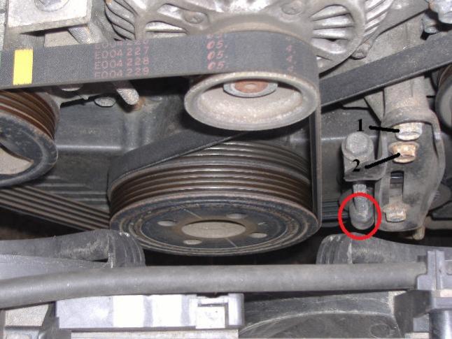 Belt pic.jpg