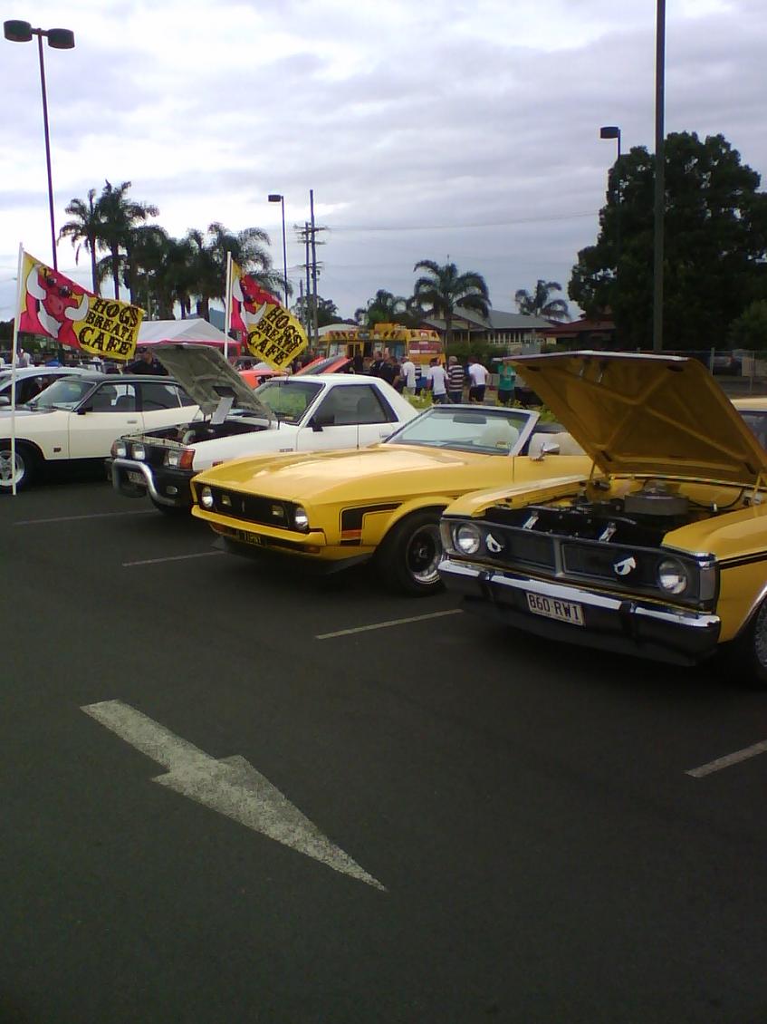 brumby 2.jpg
