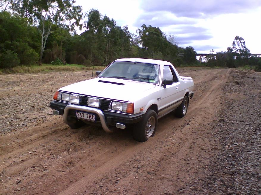 Turbo Brumby on Burnett River Gayndah.jpg