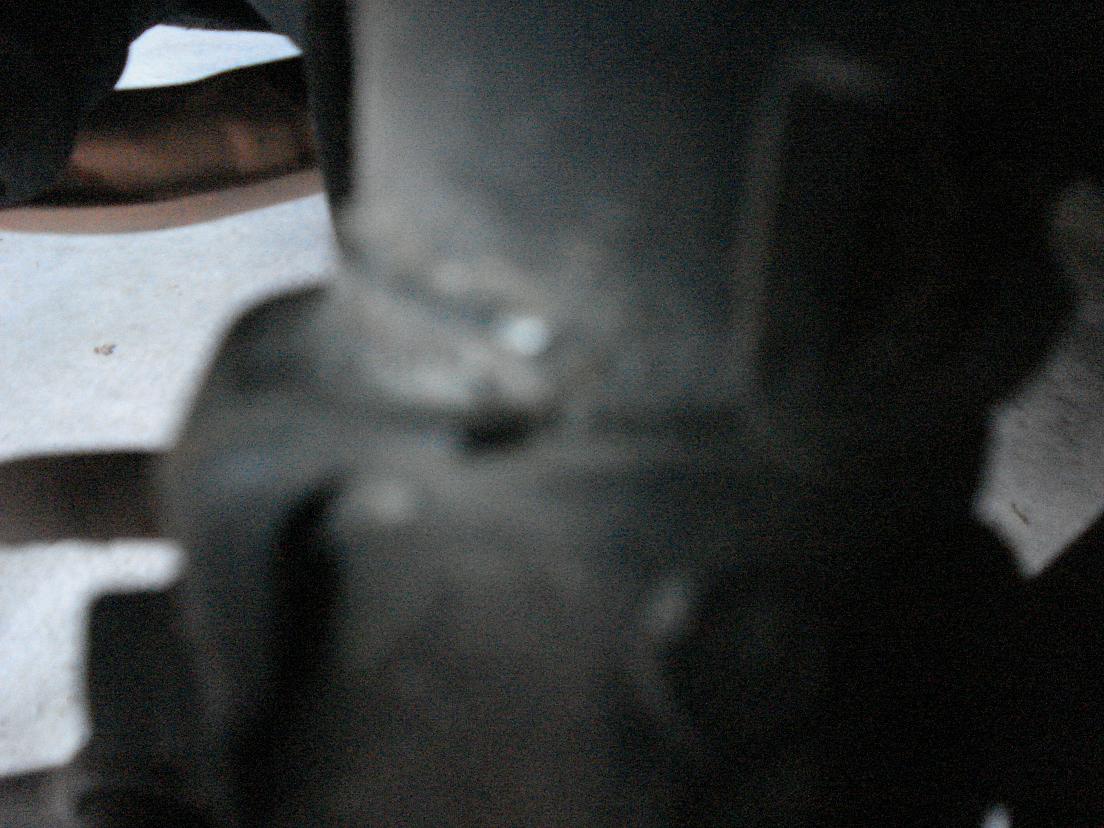 DSC01176.jpg