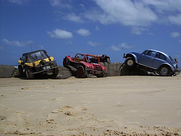buggies2.jpg