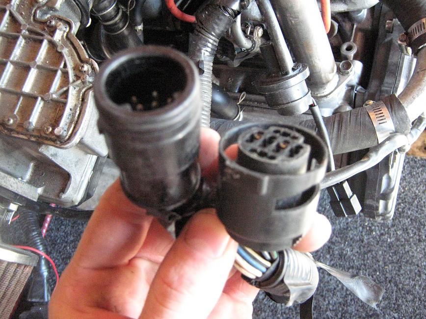 wires out of motor main loom.jpg