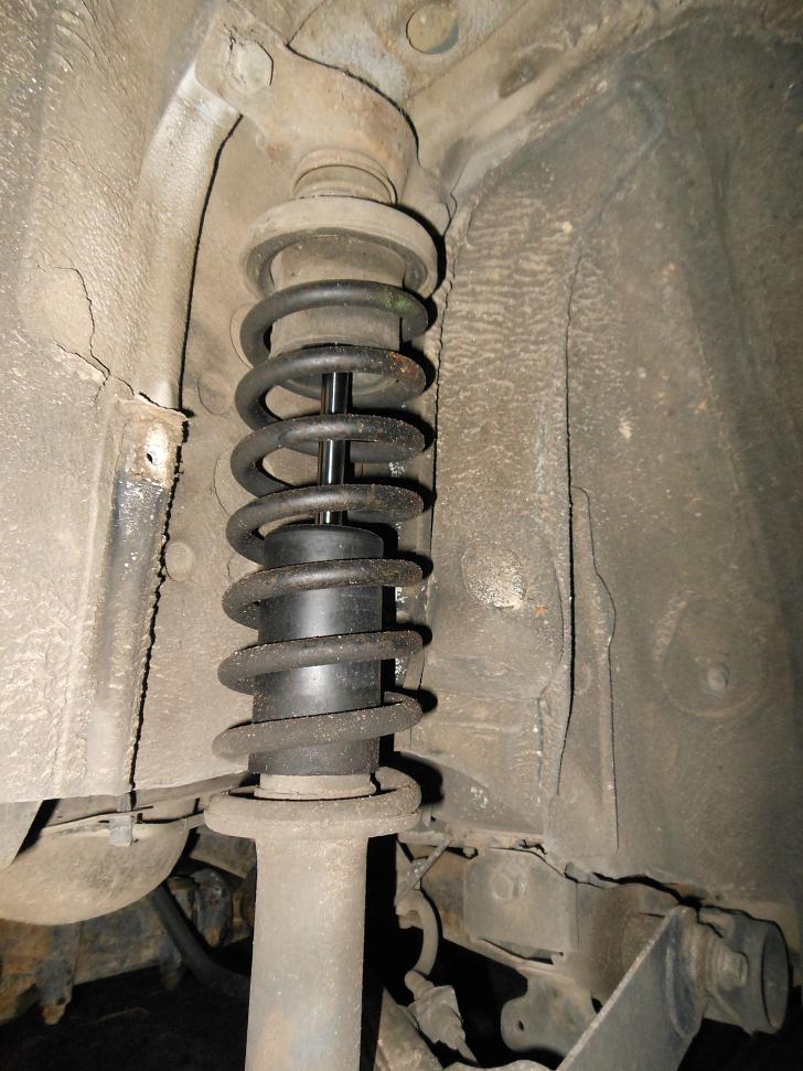 Rear Strut and Spring.jpg