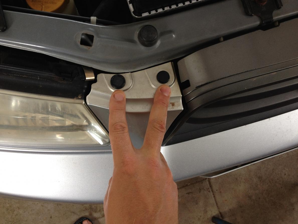 Trim clips.jpg