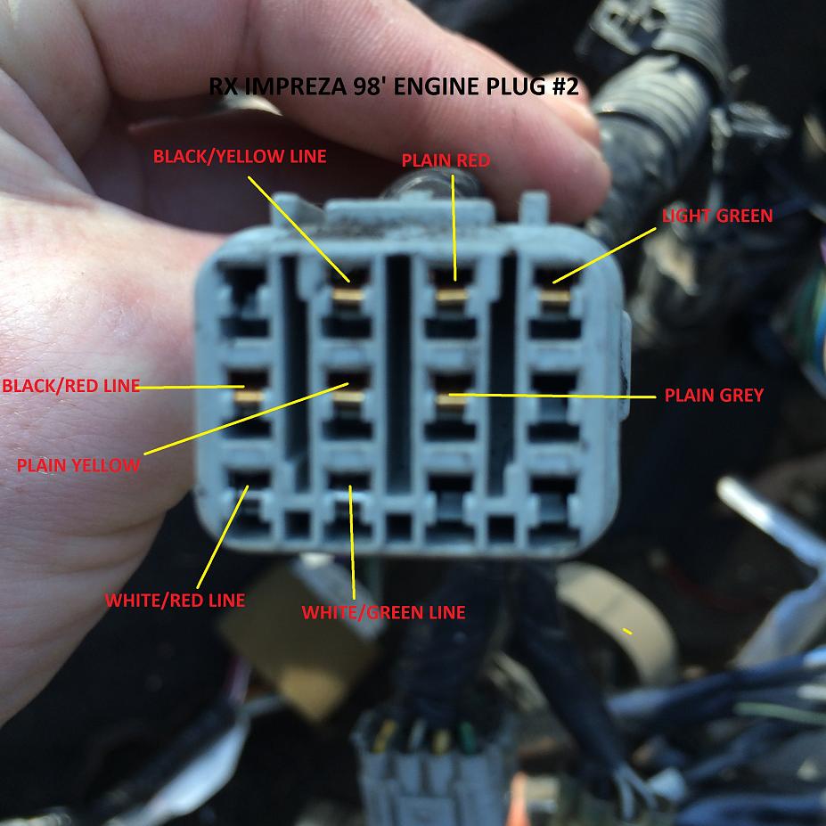 RX IMPREZA #2 PLUG.jpg