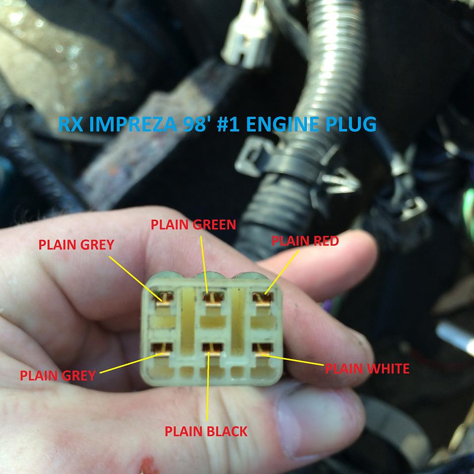 RX IMPREZA #1 PLUG.jpg